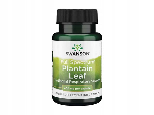 SWANSON PLANTAIN LEAF Babka drogi oddechowe, IBS, SIBO, trawienie